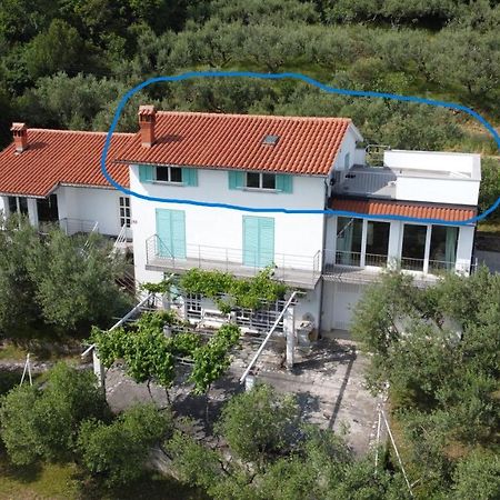 House Among Olive Trees With A Sea View 1 Leilighet Ankaran Eksteriør bilde