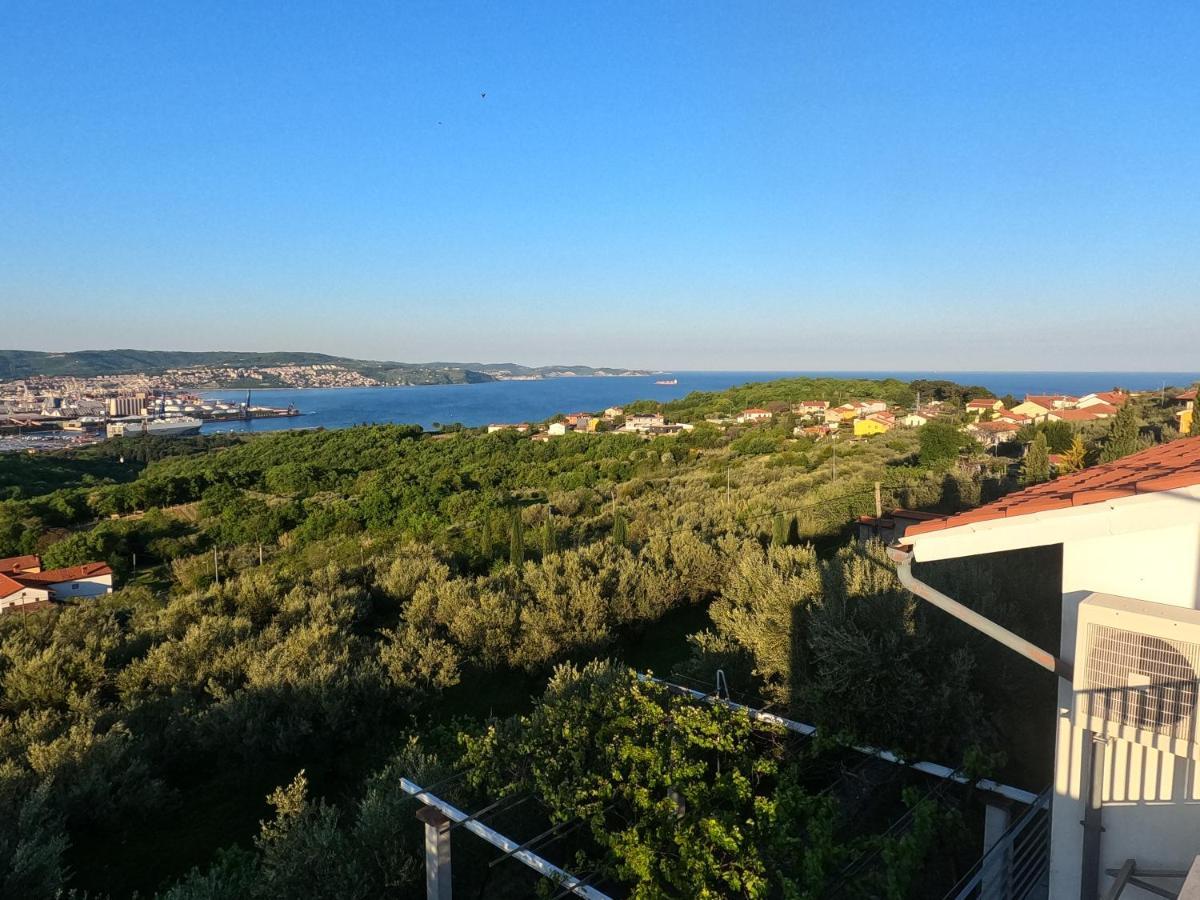 House Among Olive Trees With A Sea View 1 Leilighet Ankaran Eksteriør bilde