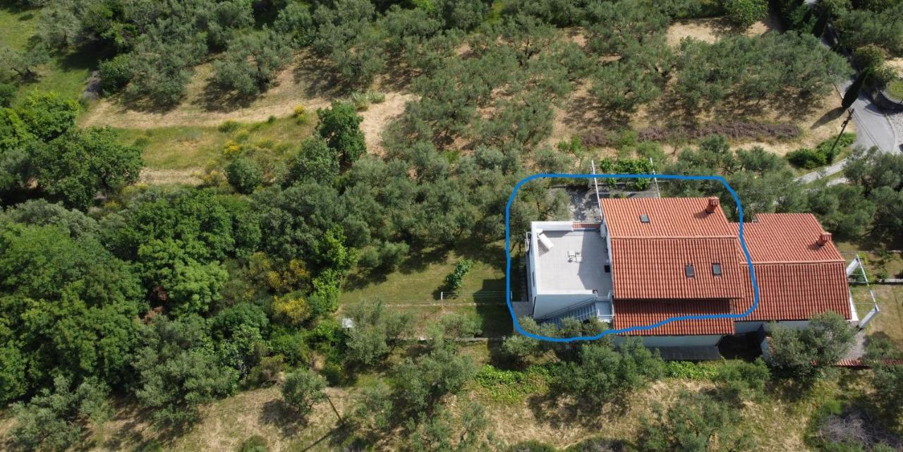 House Among Olive Trees With A Sea View 1 Leilighet Ankaran Eksteriør bilde
