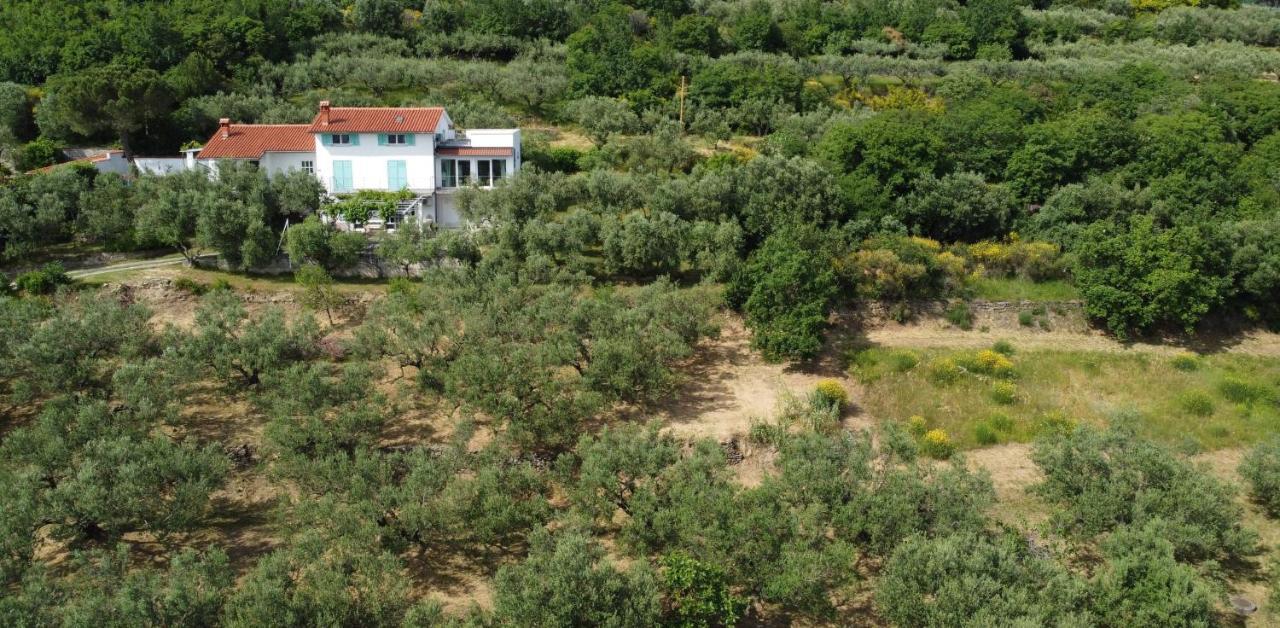 House Among Olive Trees With A Sea View 1 Leilighet Ankaran Eksteriør bilde