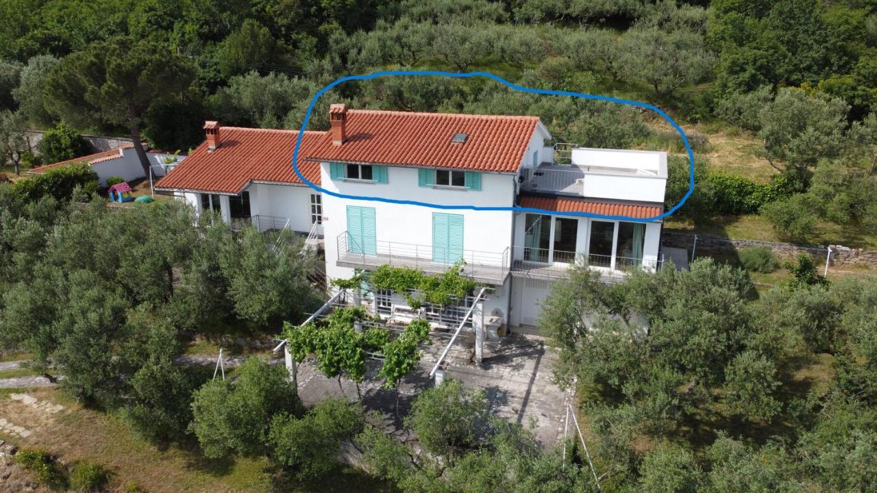 House Among Olive Trees With A Sea View 1 Leilighet Ankaran Eksteriør bilde
