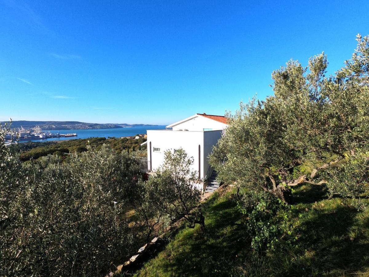 House Among Olive Trees With A Sea View 1 Leilighet Ankaran Eksteriør bilde